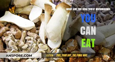 Nutritious Mushroom Varieties: Unlocking the Healthiest Edible Fungi to Eat
