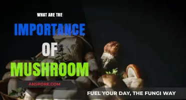 Unveiling the Surprising Health and Environmental Benefits of Mushrooms