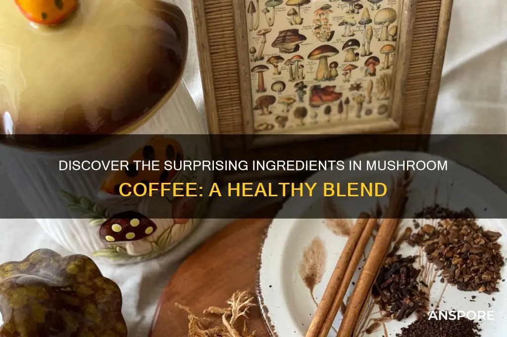 what are the ingredients in mushroom coffee