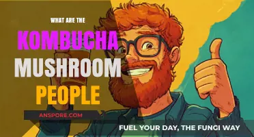 Unveiling the Kombucha Mushroom People: A Cultural and Historical Exploration