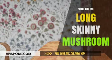 Long Skinny Mushrooms: Identifying and Understanding Enoki and Other Varieties