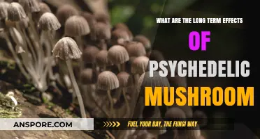 Exploring the Lasting Impact of Psychedelic Mushrooms on Mind and Body