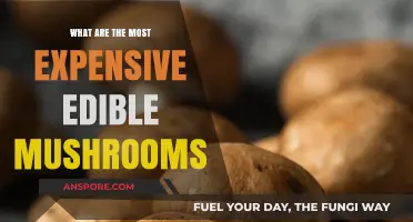 The World's Priciest Edible Mushrooms: A Gourmet's Guide