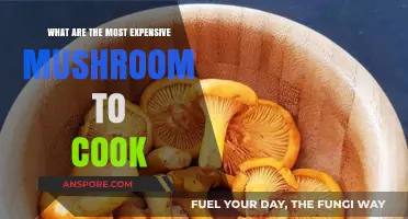 Gourmet Fungi: The Priciest Mushrooms for Culinary Masterpieces
