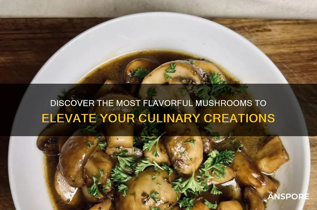what are the most flavorful mushrooms