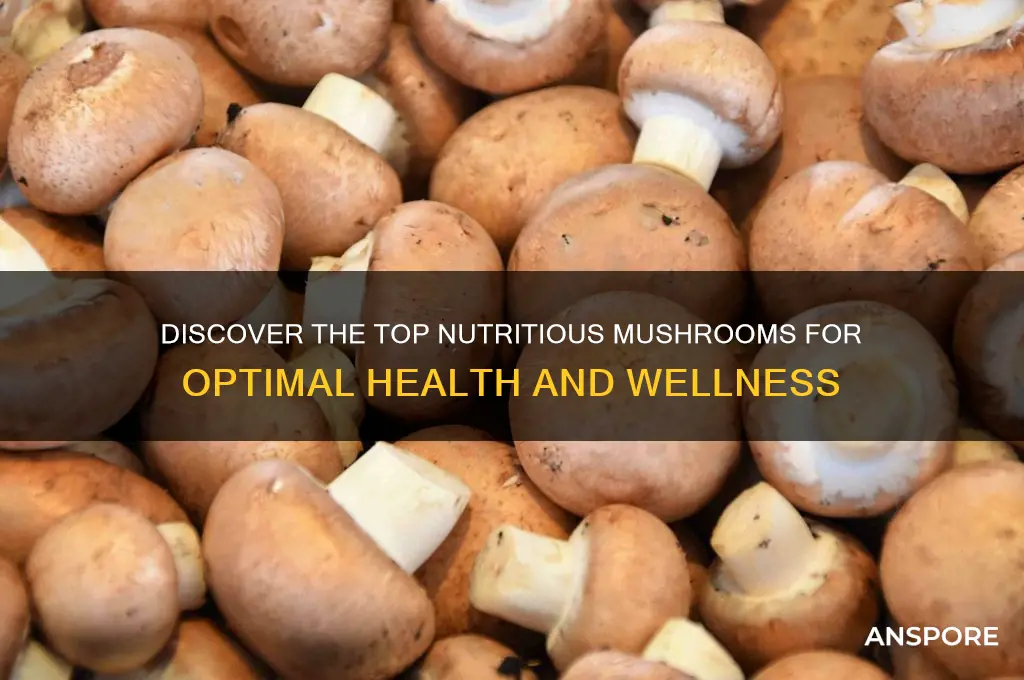 what are the most nutritious mushrooms