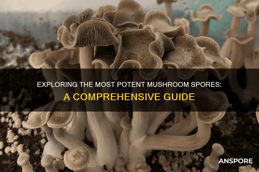 what are the most potent mushroom spores