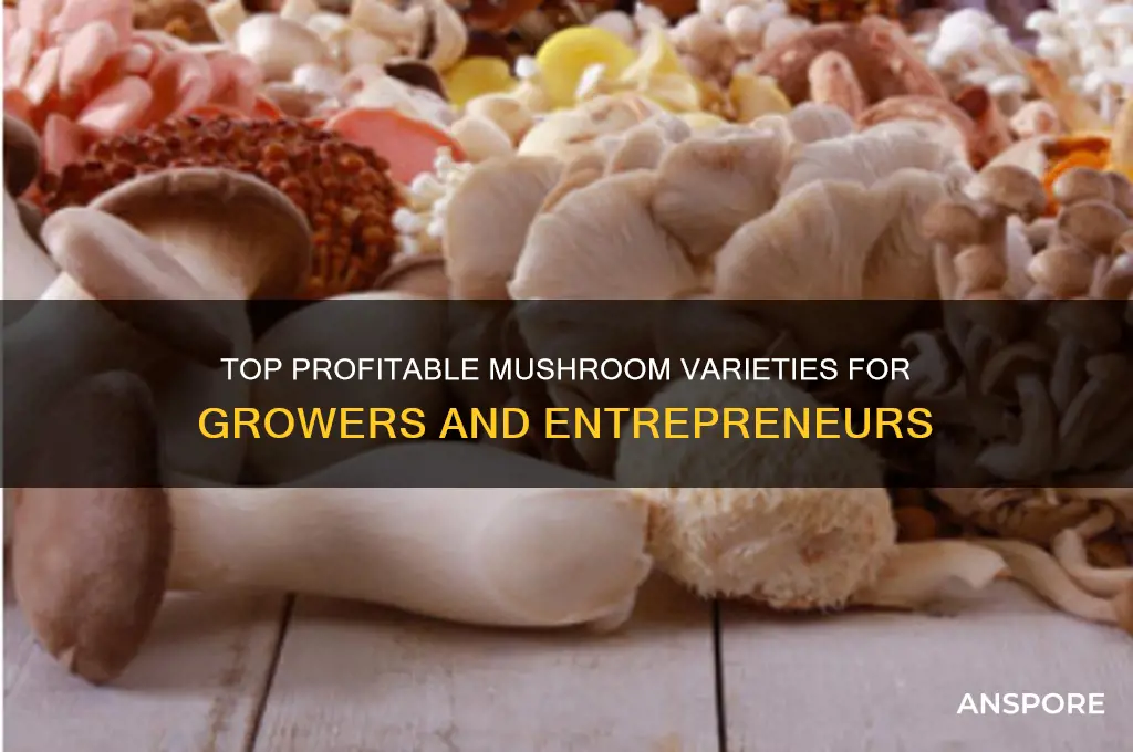 what are the most profitable mushrooms