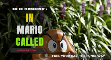 Unveiling Mario's Mushroom Minions: The Official Name of the Goombas