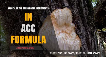 Discovering Mushroom Ingredients in ACC Formula: A Comprehensive Guide