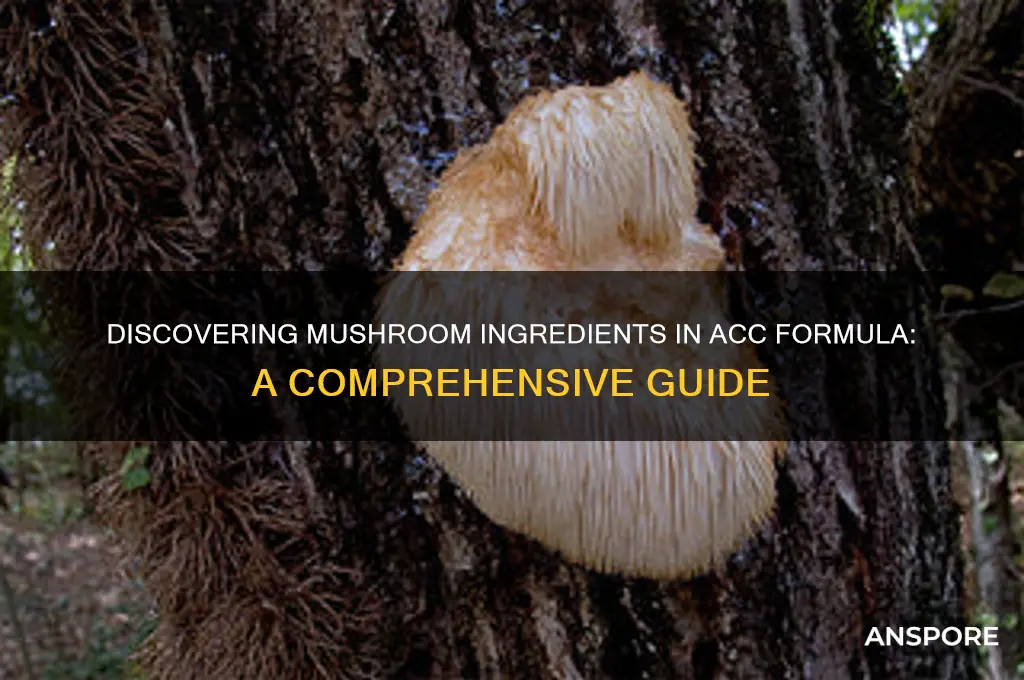 what are the mushroom ingredients in acc formula