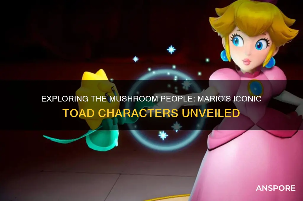 what are the mushroom people in mario
