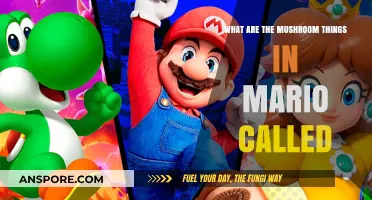 Unveiling Mario's Iconic Mushroom Allies: What Are They Called?