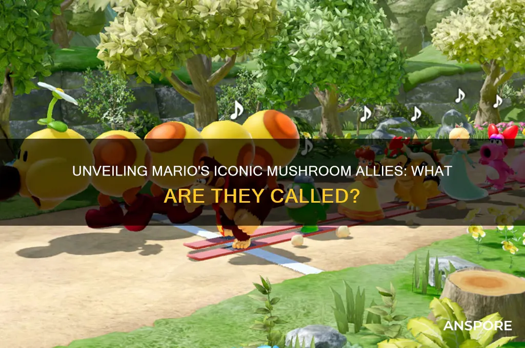 what are the mushroom things in mario called