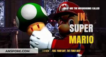 Super Mario's Iconic Mushrooms: Names, Powers, and Secrets Revealed