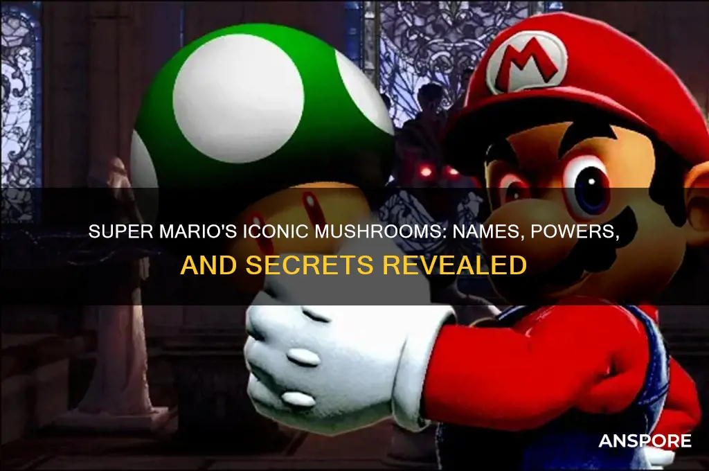 what are the mushrooms called in super mario