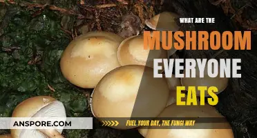 Commonly Eaten Mushrooms: A Guide to Popular Varieties and Uses