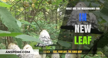 Mushrooms in New Leaf: Uses, Benefits, and How to Find Them