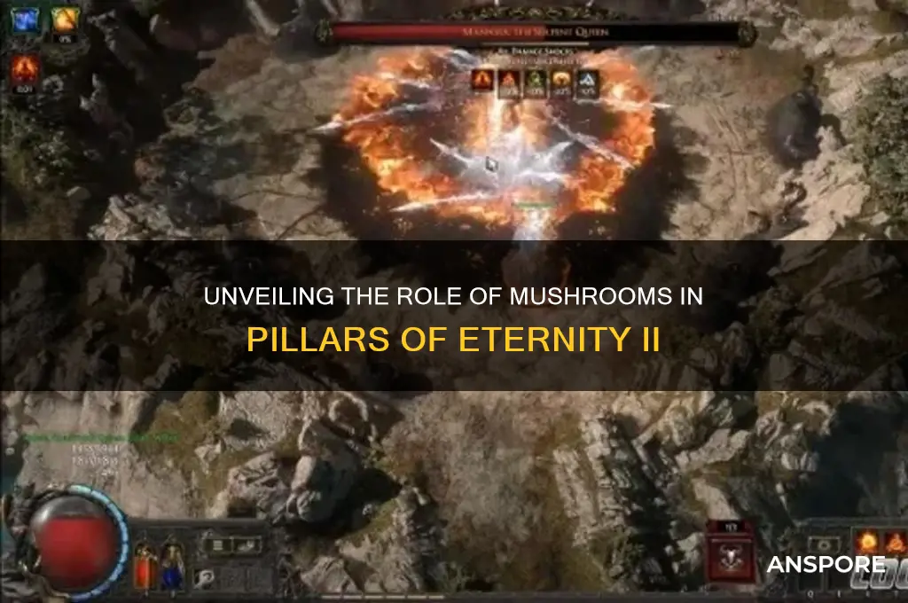 what are the mushrooms for in poe2