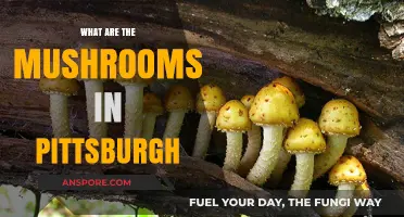 Exploring Pittsburgh's Diverse Mushroom Varieties: A Local Fungal Guide