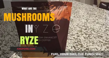 Unveiling Ryze's Mushroom Mystery: Types, Roles, and Game Impact