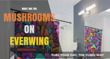 Exploring Everwing's Mystical Mushrooms: Types, Uses, and Secrets Revealed