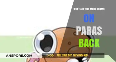 Exploring the Mystery of Paras' Back Mushrooms: Origins and Significance