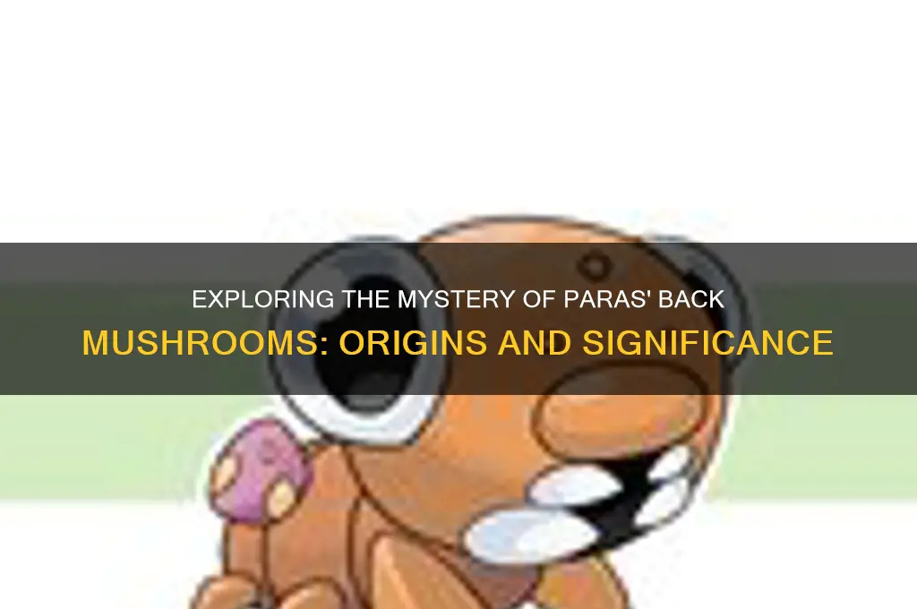 what are the mushrooms on paras back