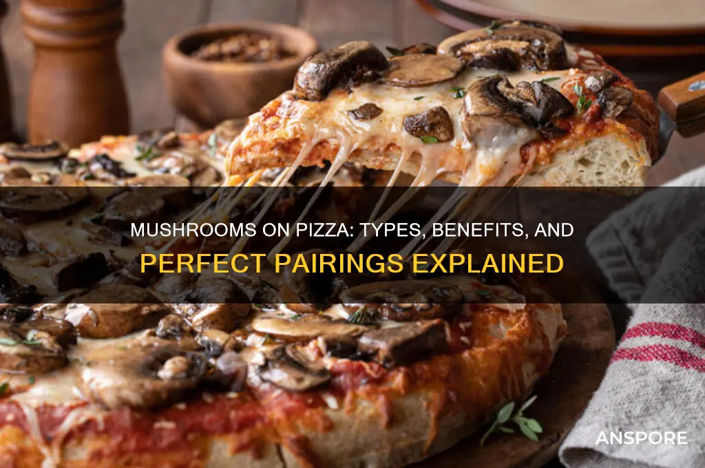 what are the mushrooms on pizza