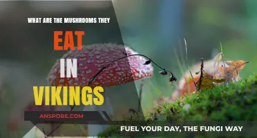 Viking Mushrooms: Unveiling the Edible Fungi of Norse Feasts
