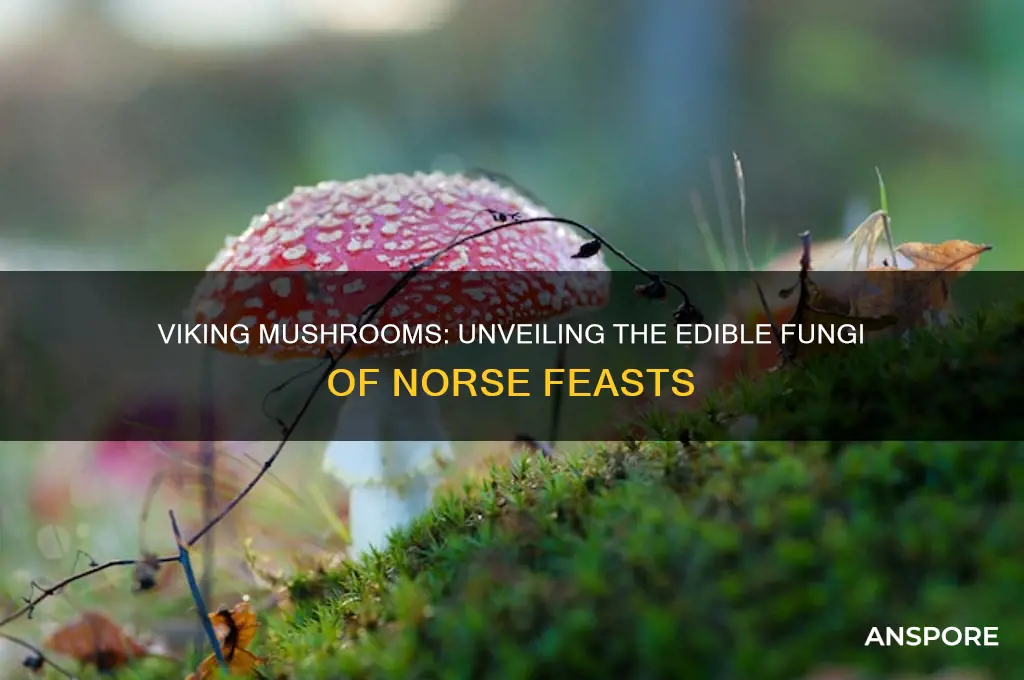 what are the mushrooms they eat in vikings