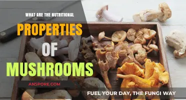 Unveiling Mushrooms' Nutritional Benefits: A Comprehensive Guide to Their Properties