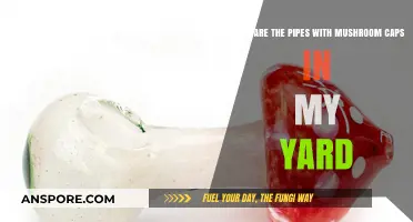 Identifying Mushroom-Capped Yard Pipes: Purpose, Safety, and Maintenance Tips