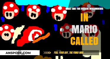 Identifying Mario's Poisonous Mushrooms: Names and Risks in the Game