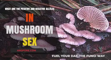Mushroom Mating: Unveiling Positive and Negative Alleles in Fungal Reproduction