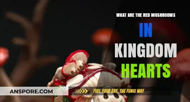 Unveiling the Mystery of Kingdom Hearts' Red Mushrooms