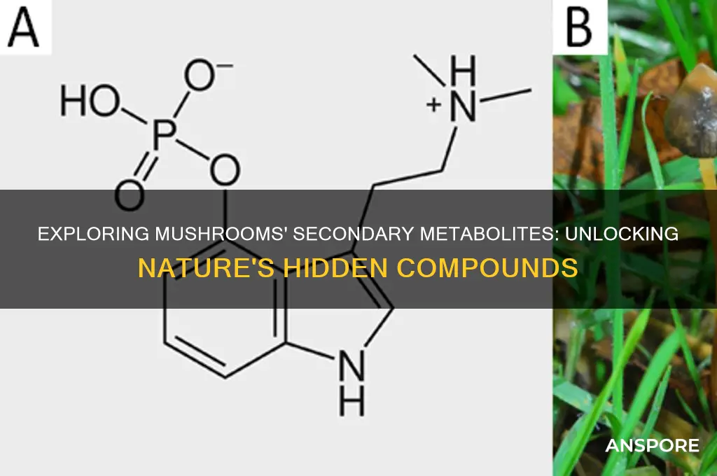 what are the secondary metabolites in mushrooms