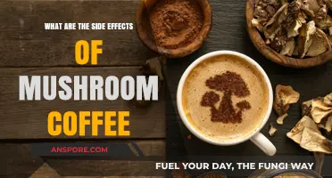 Mushroom Coffee Side Effects: What You Need to Know
