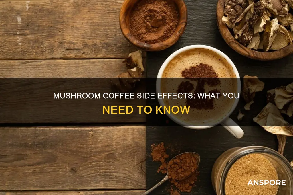 what are the side effects of mushroom coffee