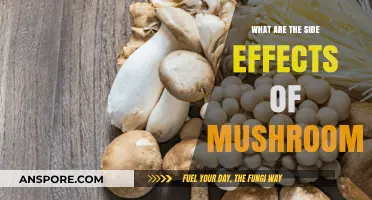 Exploring the Potential Side Effects of Consuming Mushrooms