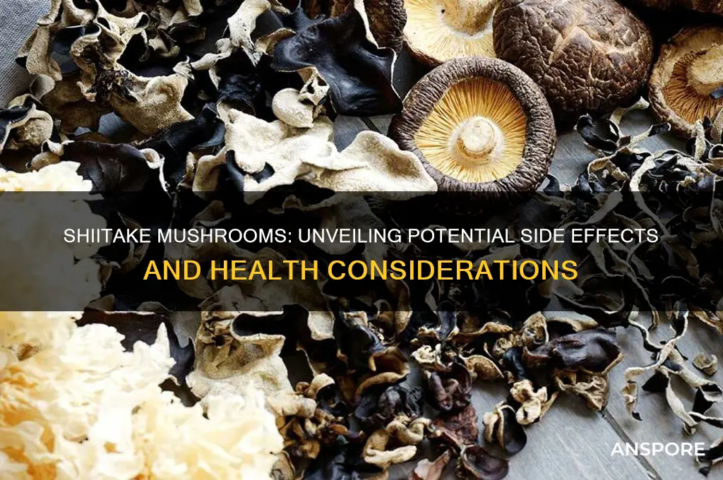 what are the side effects of shiitake mushrooms
