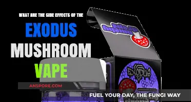 Exodus Mushroom Vape Side Effects: Risks and Health Concerns Explained