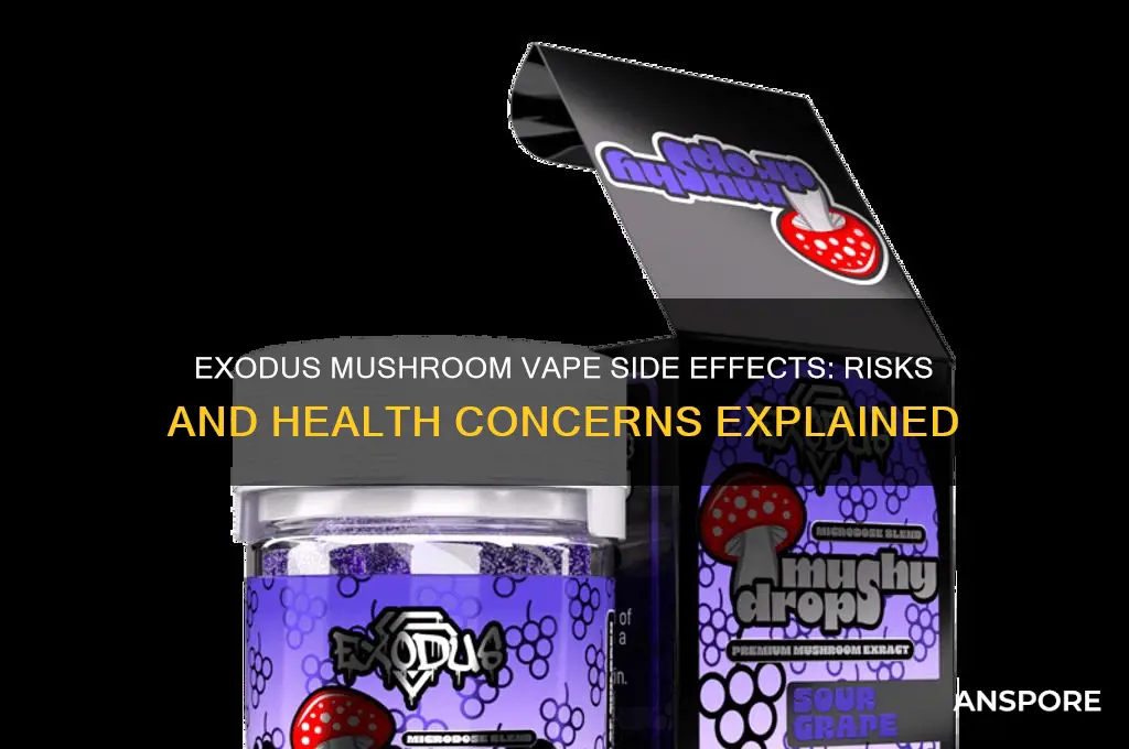 what are the side effects of the exodus mushroom vape