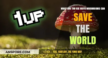 Mushrooms' Power: Six Revolutionary Ways to Save Our Planet