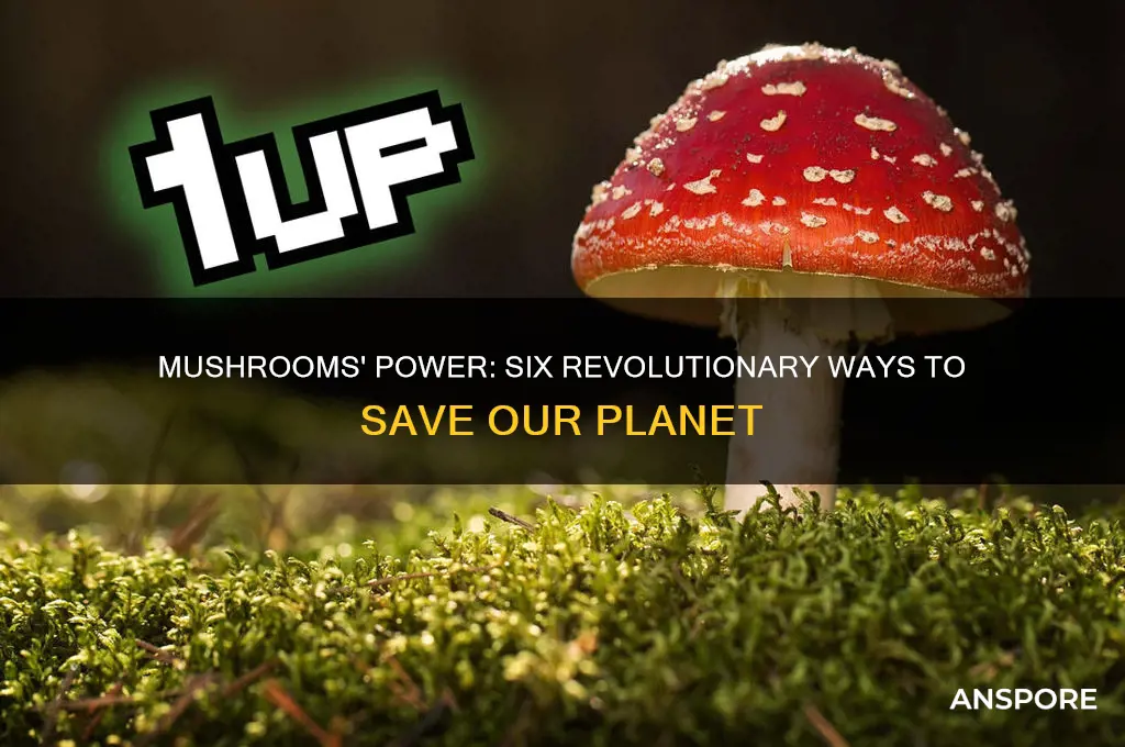 what are the six ways mushrooms can save the world