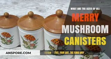 Merry Mushroom Canisters: Exploring All Available Sizes and Dimensions
