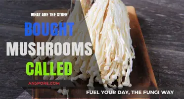 Common Store-Bought Mushroom Varieties: A Guide to Their Names and Uses