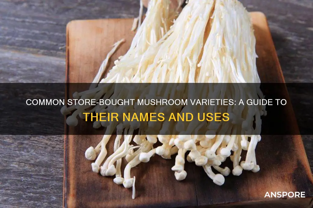 what are the stoer bought mushrooms called