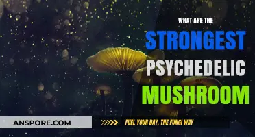 Exploring the Most Potent Psychedelic Mushrooms and Their Effects