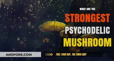 Exploring the Most Potent Psychedelic Mushrooms and Their Effects